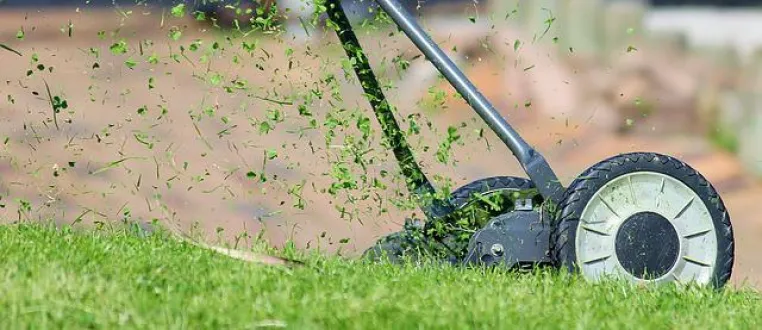 Bild: Nützliche Infos zur Rasenmäher Saison