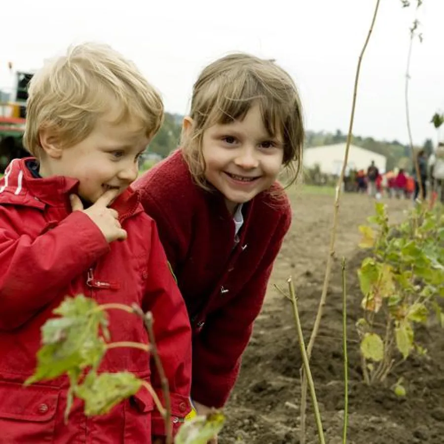 Copyright: Barbara Mair