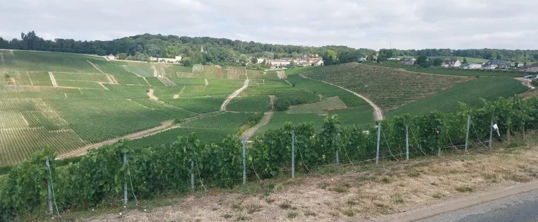 Eine unsichtbare Linie, zwei faszinierende Welten: Champagner und Crémant aus dem Burgund Bild: Eine unsichtbare Linie, zwei faszinierende Welten: Champagner und Crémant aus dem Burgund