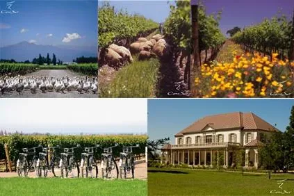 Bild: Chilenisches Weingut Cono Sur als “nachhaltig“ ausgezeichnet