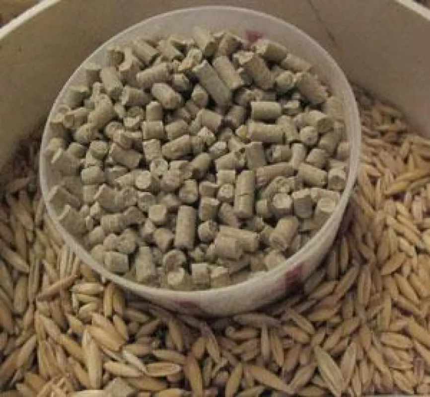 Pelletiertes Mineralfutter für Pferde zum Hafer
