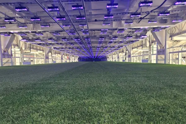 Bild: Wie Technologie das Management von Naturrasen in modernen Stadien verändert