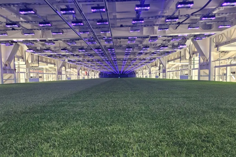 Bild: Wie Technologie das Management von Naturrasen in modernen Stadien verändert
