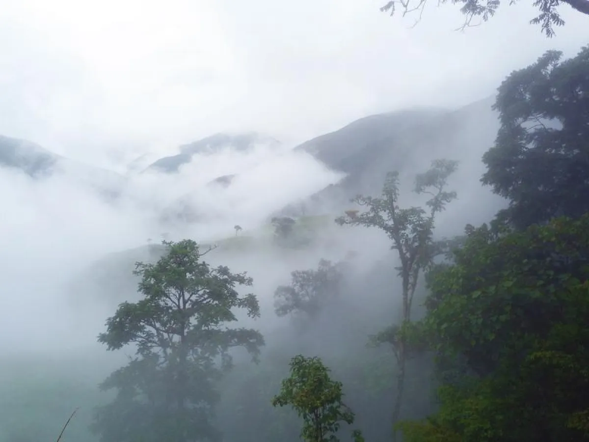 Der Bergregenwald im Tal des Rio San Francisco in den Ostanden Süd-Ecuadors (Foto: Jörg Bendix)