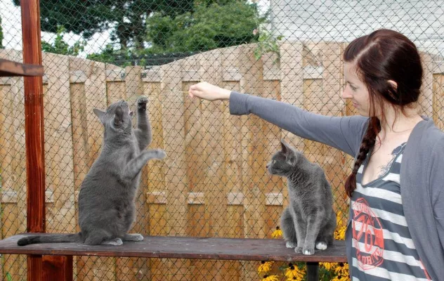 Bild: Urlaubszeit: Wohin im Urlaub mit dem Haustier?