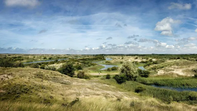 Bild: Niederländische Wasserversorger fordern von Bundesministerin Lemke Grenzwerte für PFAS-Einleitung in den Rhein