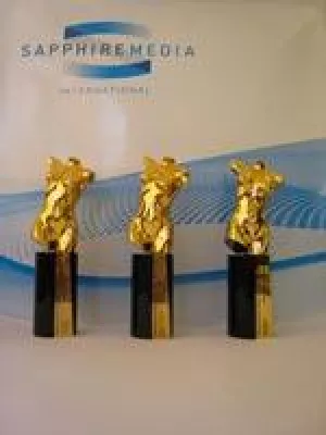 Bild: Sapphire Media mit 3 Venus Awards 2010 für Hustler TV und VoD-Service ausgezeichnet