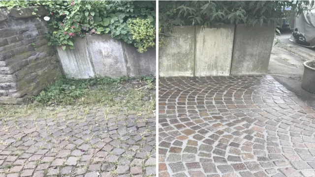 Bild: Nie mehr Unkraut zupfen? - Kein Problem!