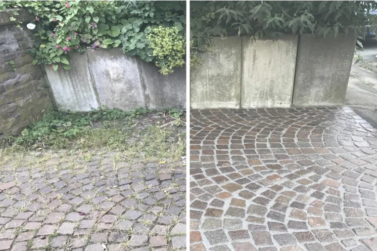 Nie mehr Unkraut zupfen? - Kein Problem! Bild: Nie mehr Unkraut zupfen? - Kein Problem!
