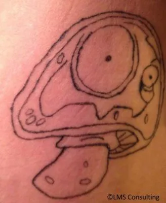 Bild: Urlaubszeit ist Pilze-Zeit