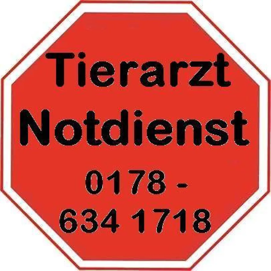 Tierarzt Notdienst für Kleintiere & Reptilien