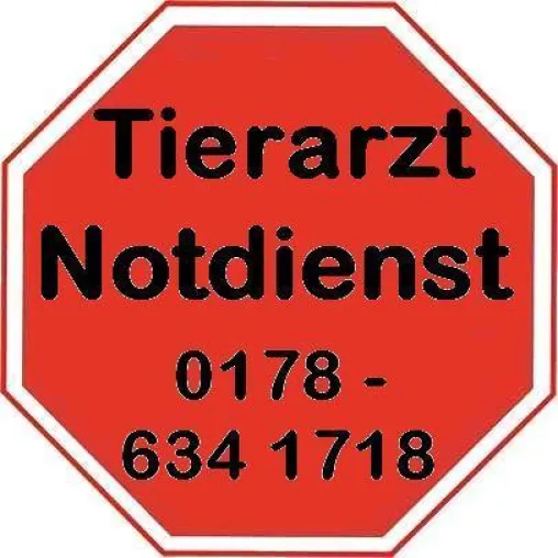 Bild: Tierarzt Notdienst für Kleintiere & Reptilien