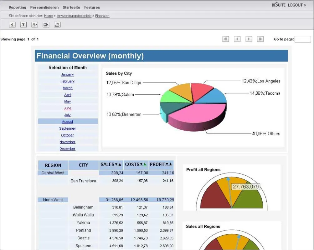 Screenshot BI Suite