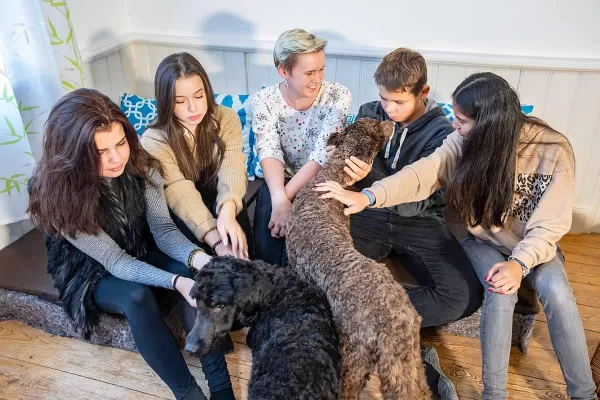Tiergestützte Interventionen – Pädagogik und Förderung im Lietz Internat Hohenwehrda Bild: Tiergestützte Interventionen – Pädagogik und Förderung im Lietz Internat Hohenwehrda