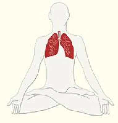 Bild: Sauerstoff - Ein wichtiger Stoff zum Leben