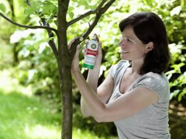 Bild: Frühjahrsputz im Garten - BALLISTOL Universalöl - Pflege für Bäume und Gartenhelfer