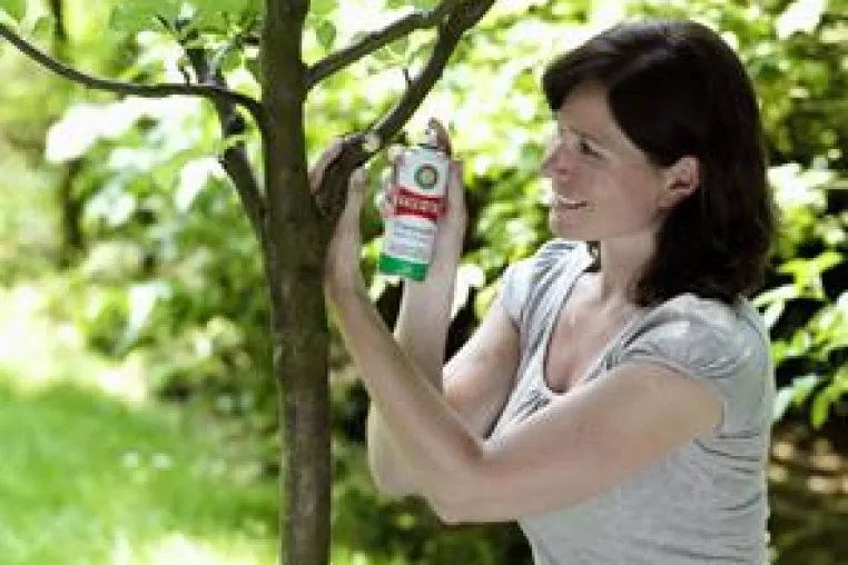 Bild: Frühjahrsputz im Garten - BALLISTOL Universalöl - Pflege für Bäume und Gartenhelfer