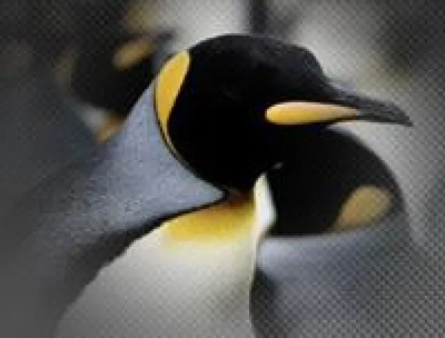 Bild: Erstes Standard-Embedded Linux mit umfangreichen Grafik Tools