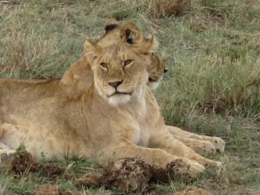 Bild: Travel & Personality Erlebnisreisen: Tansania & Sansibar – Eine Kombination zum Träumen