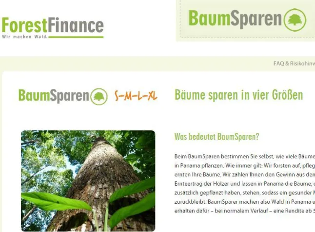 Bild: Tag des Baumes – Bäume sparen, Wälder schaffen mit BaumSparen in S bis XL