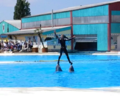 Bild: Deutsche Tierschützer in der Schweiz vor Gericht