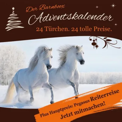 Bild: Barnboox verlost im Advent täglich attraktive Preise für Pferd und Reiter