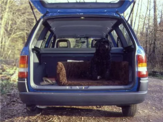 Dänemark - Wo Hund und Herrchen ausspannen - Urlaub mit Hund in Dänemark Bild: Dänemark - Wo Hund und Herrchen ausspannen - Urlaub mit Hund in Dänemark