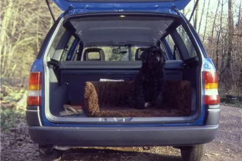 Bild: Dänemark - Wo Hund und Herrchen ausspannen - Urlaub mit Hund in Dänemark