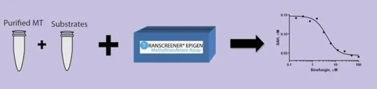 Bild: MoBiTec präsentiert BellBrook Labs neue Drug Development Produktfamilie-TRANSZYME Methyltransferase Assay Kits