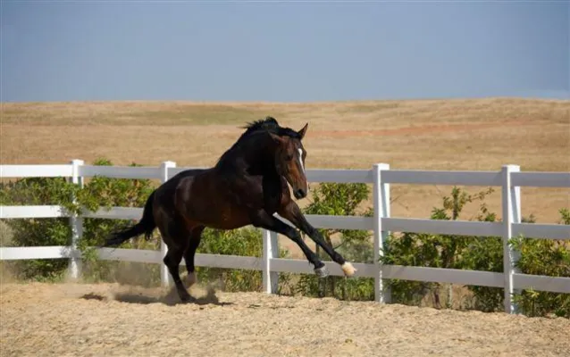 Bild: Einmaleins für Gutsherren