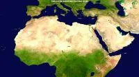 Bild: Trillion Trees Initiative für besseren Klimaschutz, Umweltschutz und Artenschutz weltweit