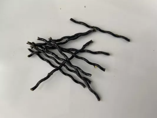 INCOTELOGY GmbH präsentiert gewellte Basatfaser-Ministäbe als Ersatz für Stahlfaser in Betonen Bild: INCOTELOGY GmbH präsentiert gewellte Basatfaser-Ministäbe als Ersatz für Stahlfaser in Betonen