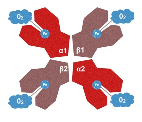 Demenz - eine globale Bedrohung Bild: Demenz - eine globale Bedrohung