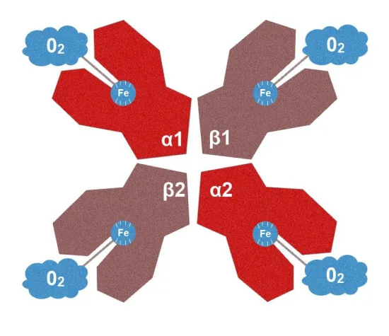 Bild: Demenz - eine globale Bedrohung