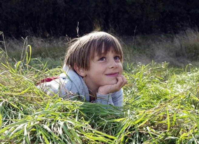 Wiens Wälder wachsen weiter Bild: Wiens Wälder wachsen weiter