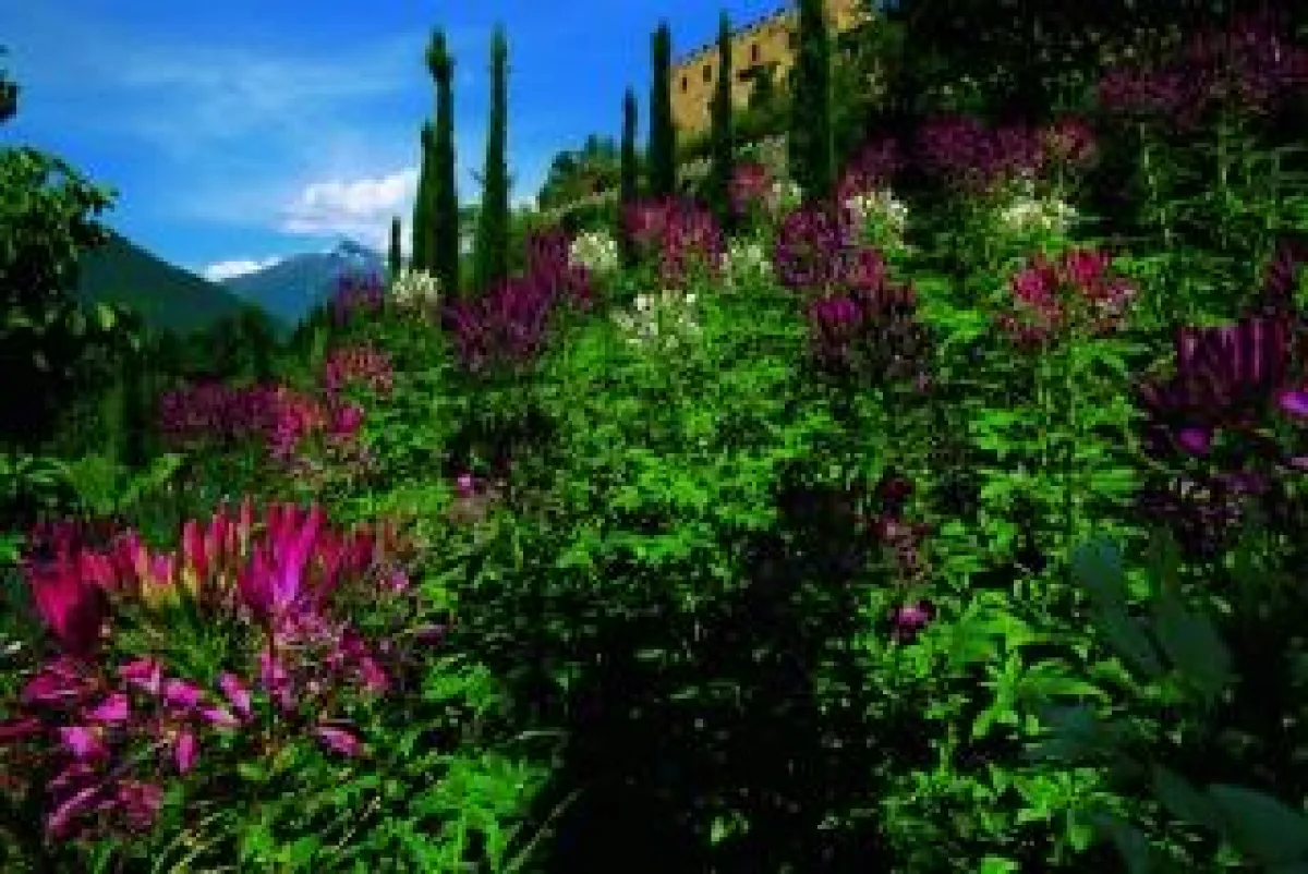 Culturonda-Erlebnis Gärten von Schloss Trauttmansdorff