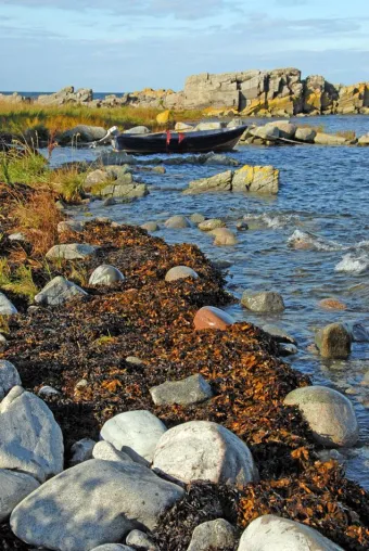 Fotografieren auf Bornholm, der dänischen Perle inmitten der Ostsee - Ein Reisebericht Bild: Fotografieren auf Bornholm, der dänischen Perle inmitten der Ostsee - Ein Reisebericht