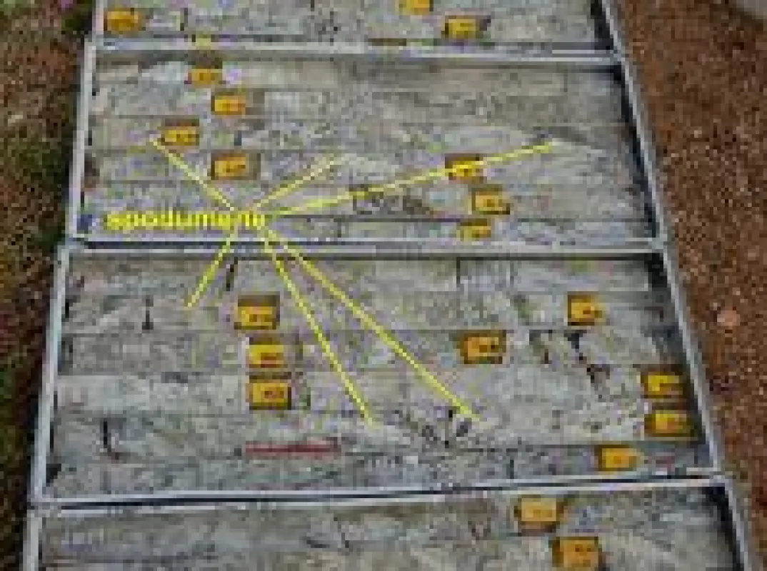 Bohrkerne vom Manono-Projekt; Foto: AVZ Minerals