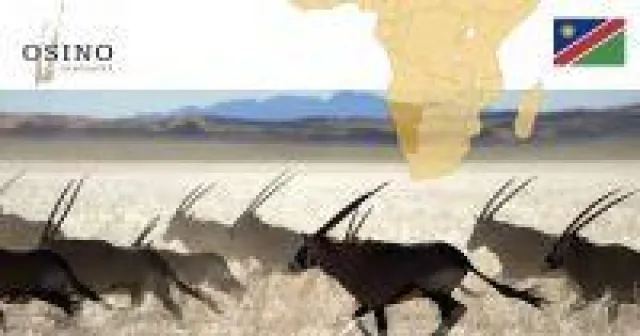 Bild: Osino Resources - Erfolg mit Ansage schafft Neubewertung