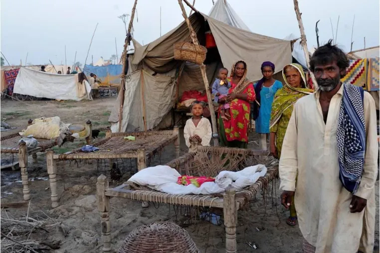 Bild: Pakistan- Millionenspenden lindern nicht die Not der Bauern
