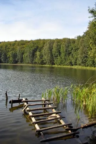 Bild: Individuelle Fahrradtouren auf der Insel Usedom