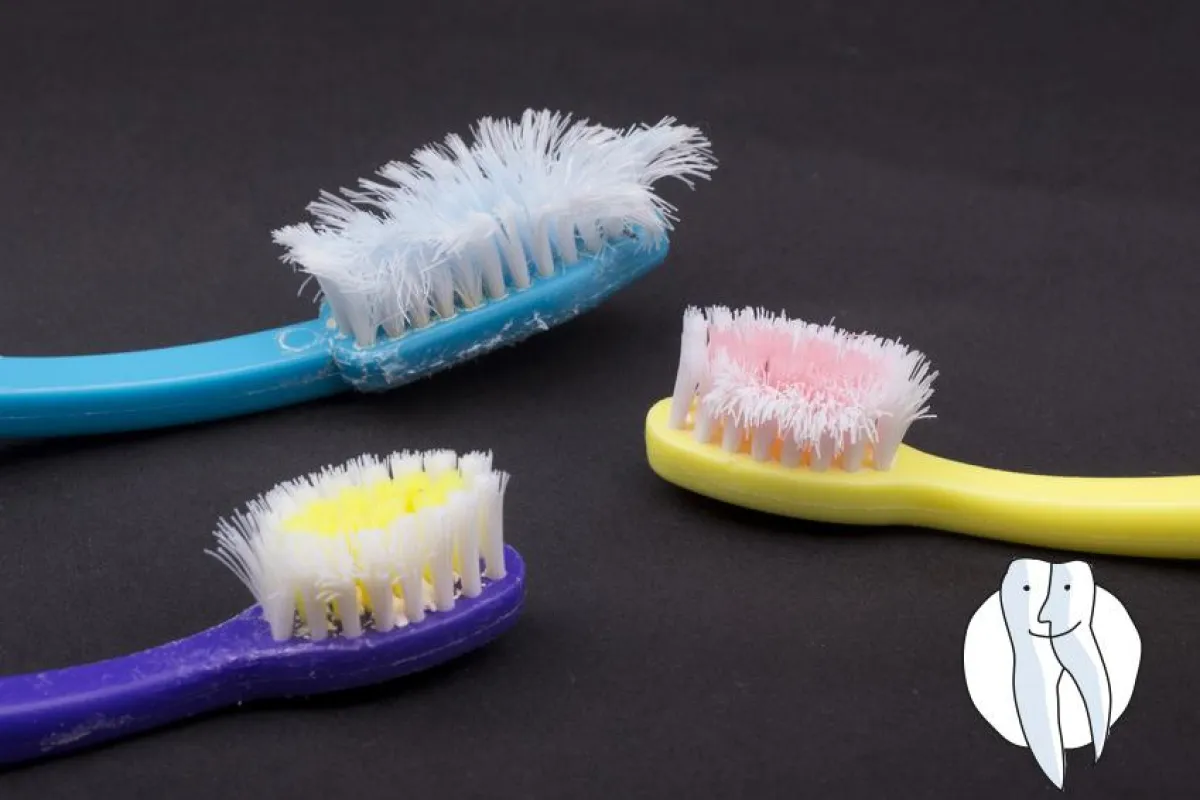 Wenn die Borsten den Kopf hängen lassen  Fotolia©taborsky