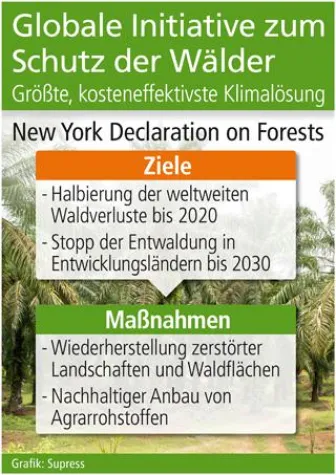 Bild: UN Aktionsplan: Globale Initiative zum Schutz der Wälder