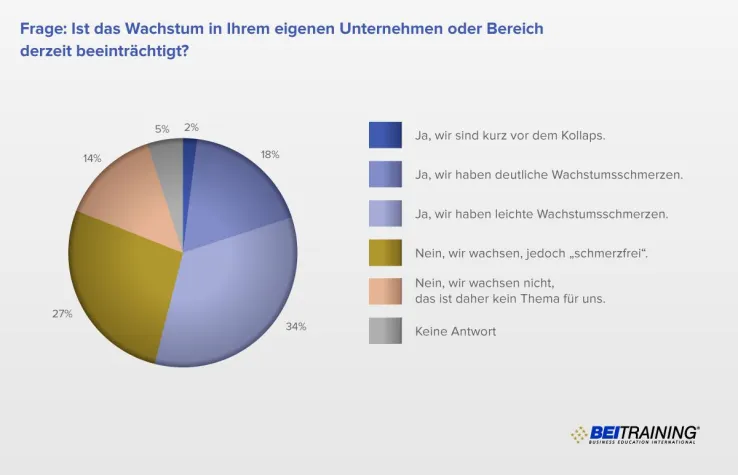 Bild: Unternehmerbefragung: Wachstumsschmerzen in Unternehmen