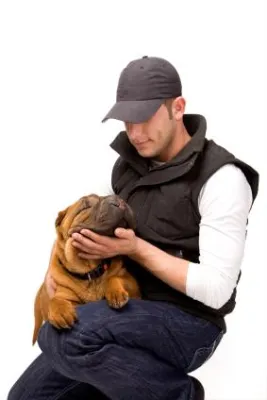 Bild: Hund und Co.fühlen sich bei KOVEX besonders wohl - Ein exklusives Dienstleistungsangebot, ab sofort, Europaweit