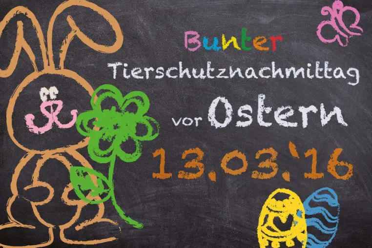 Bild: Theater, Live-Musik und Lesung: Bunter Tierschutznachmittag im EineWeltHaus in München