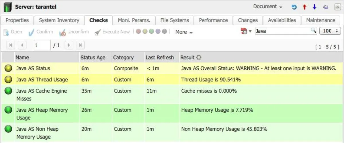 Überwachung eines Java Application Servers