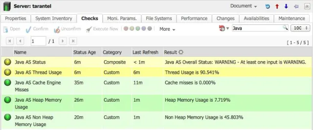 Bild: Java Application Server Monitoring mit syslink Xandria