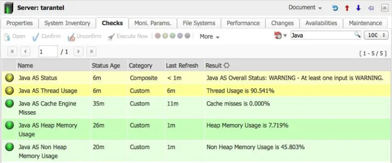 Bild: Java Application Server Monitoring mit syslink Xandria