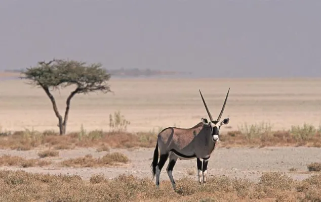 Bild: Travel & Personality: Erlebnisreisen nach Afrika – Eine unbeschreibliche Schönheit & grenzenlose Vielfalt!